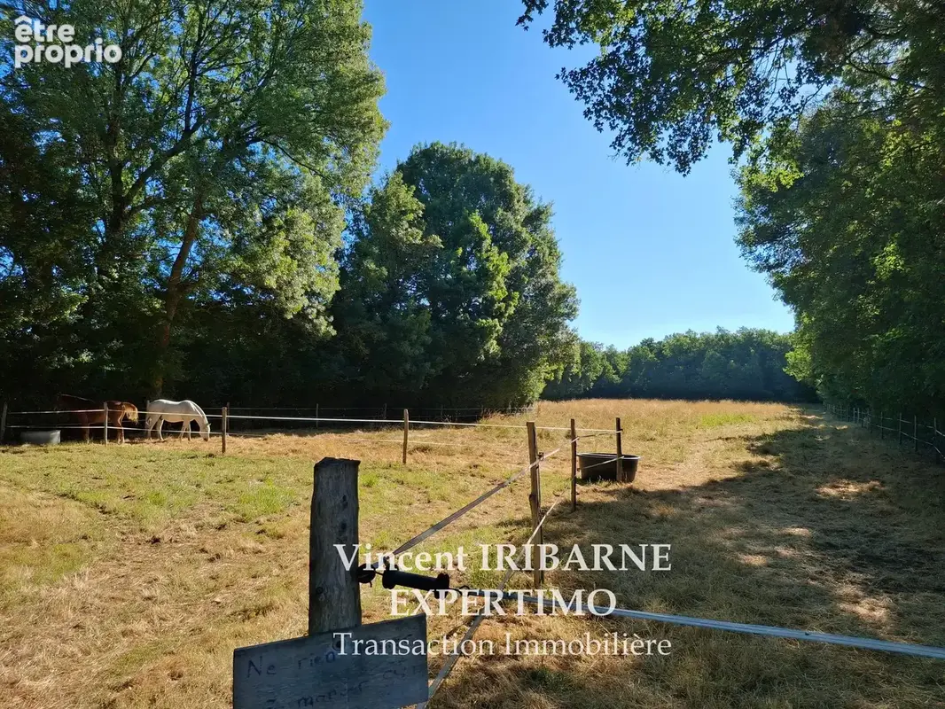 Saintongeaise avec Piscine, Ecurie, Dépendances et Prés - photo 8