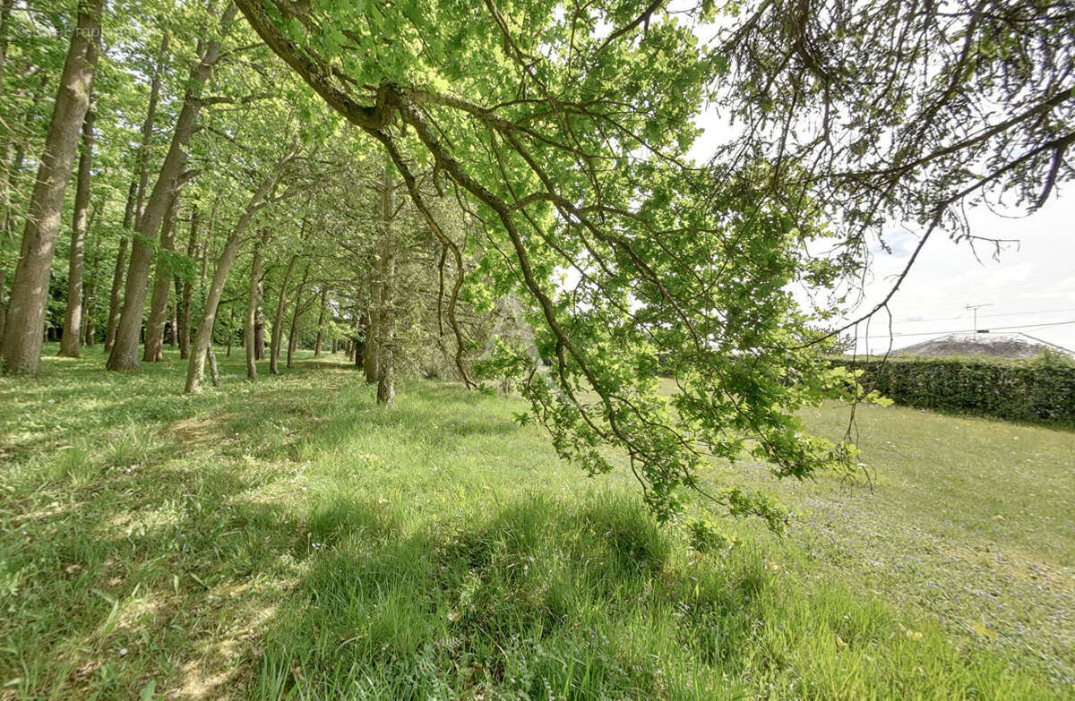 Terrain à SAINT-SEBASTIEN-DE-MORSENT