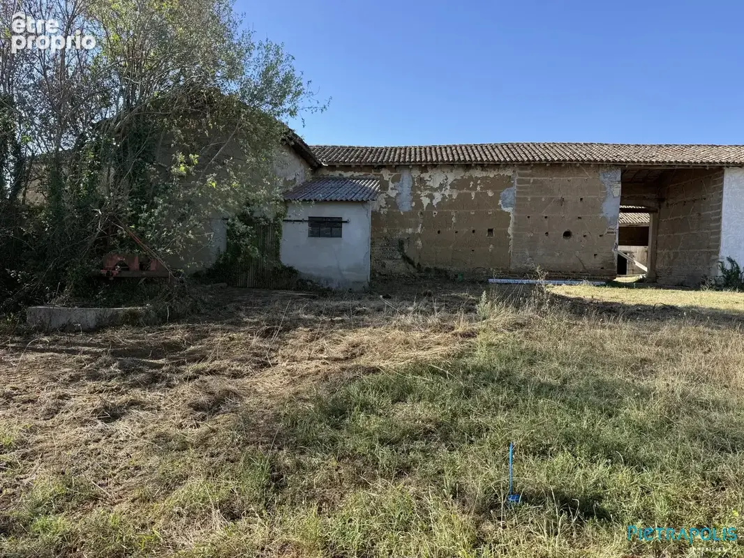 Maison 5 pièces 272 m² à vendre à Francheleins (01090) - photo 2