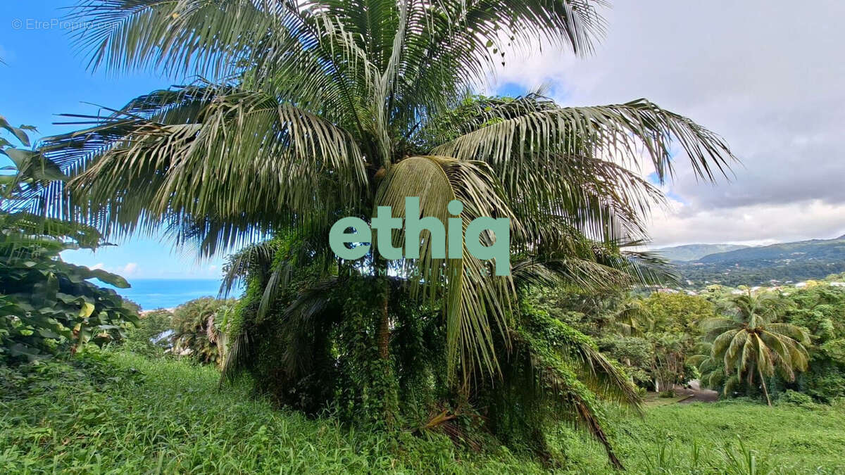 Terrain à GOURBEYRE