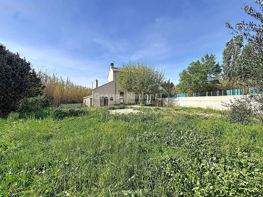 Maison à CHEVAL-BLANC
