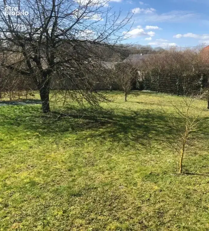 Terrain à ALINCOURT
