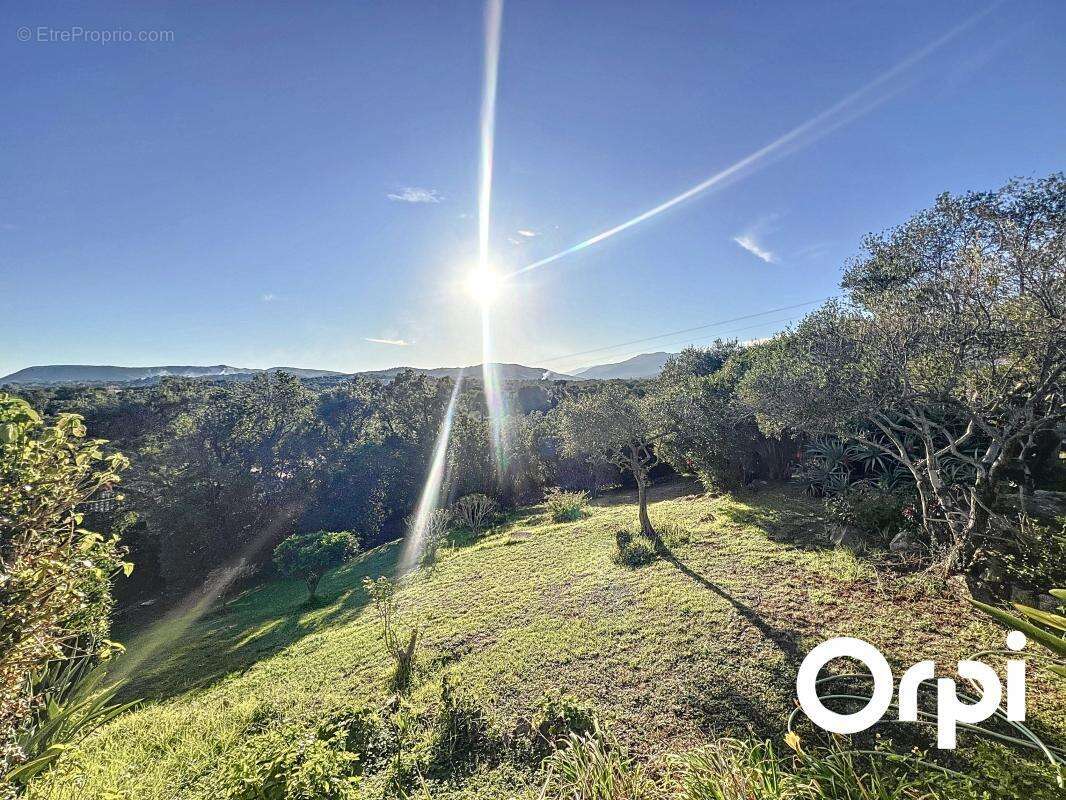 Maison à PORTO-VECCHIO