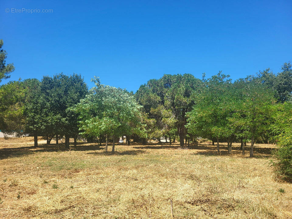 Terrain à MONTIGNARGUES