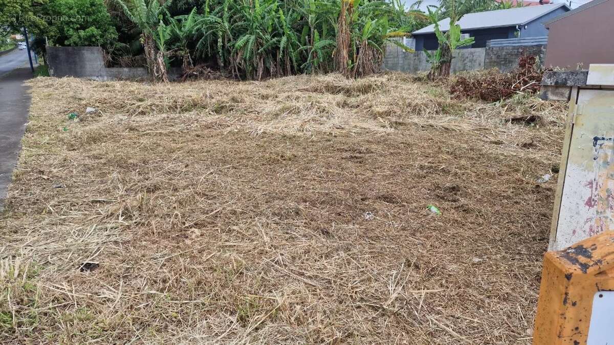 Terrain à SAINT-BENOIT
