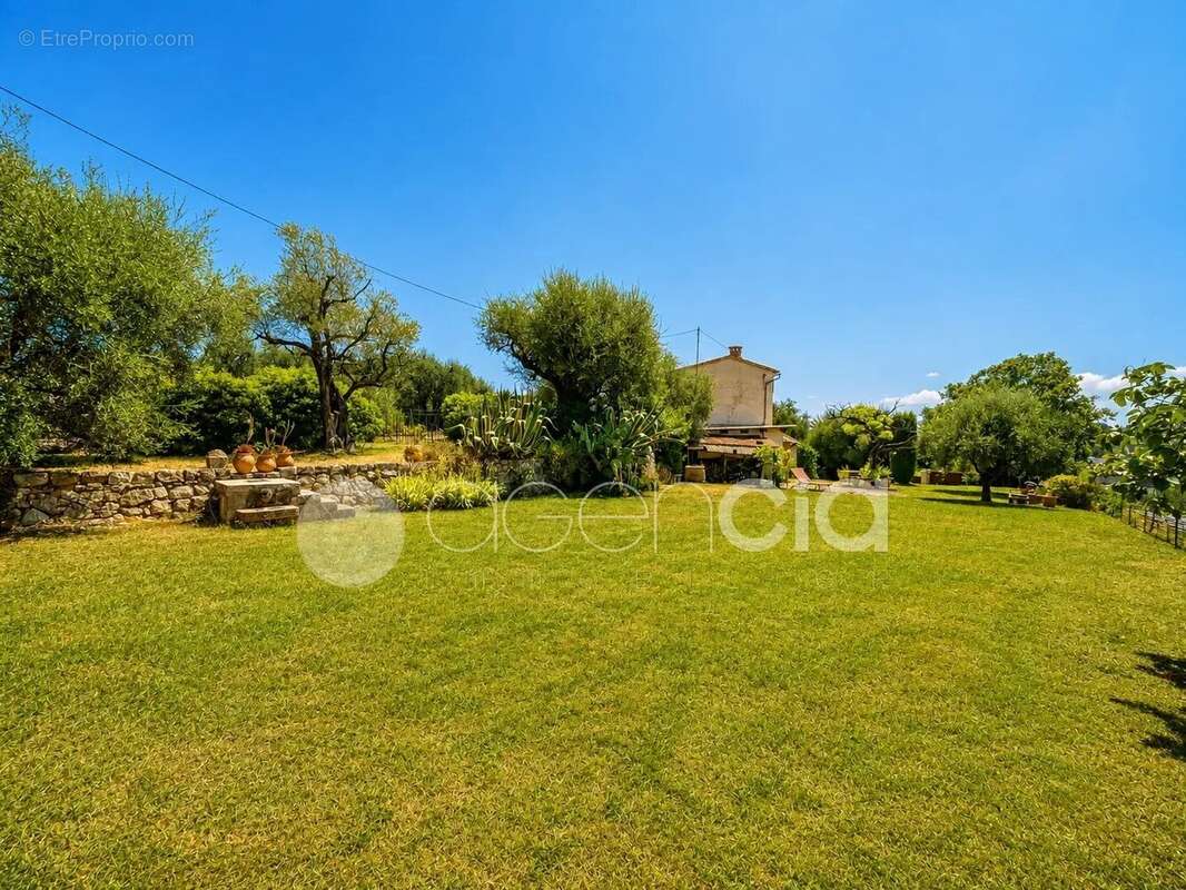 Plan de grasse  maison type mas provencal  232 m2 - photo 3