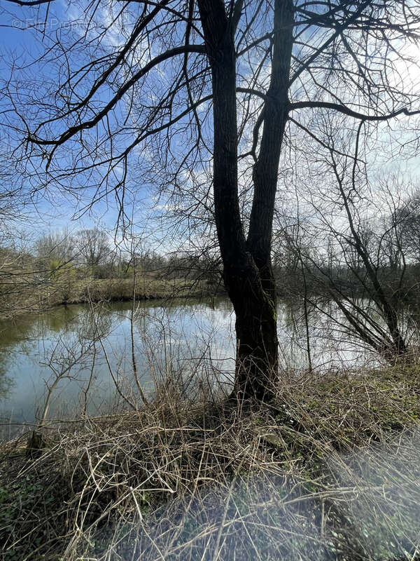 Terrain à TOUL