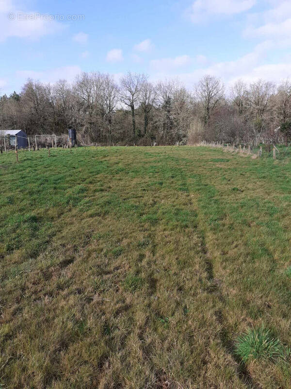 Terrain à TALMONT-SAINT-HILAIRE