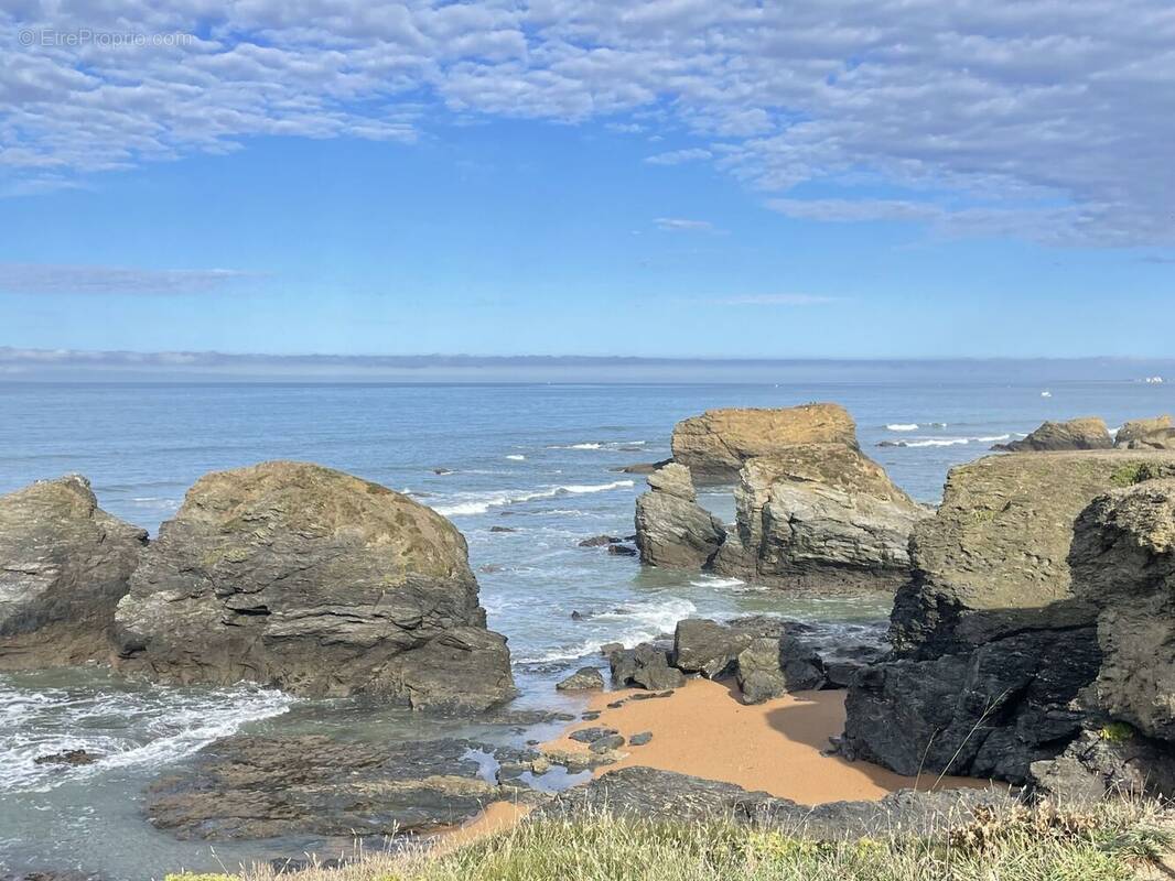 Terrain à SAINT-HILAIRE-DE-RIEZ