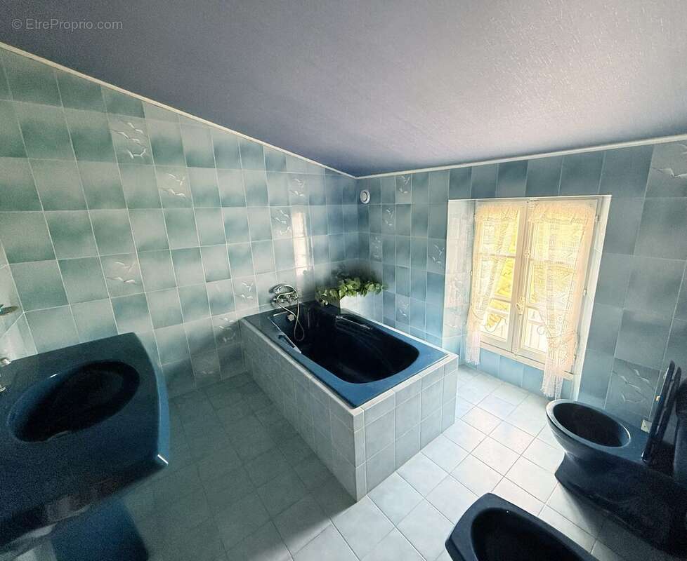 Maison à LA GUERINIERE