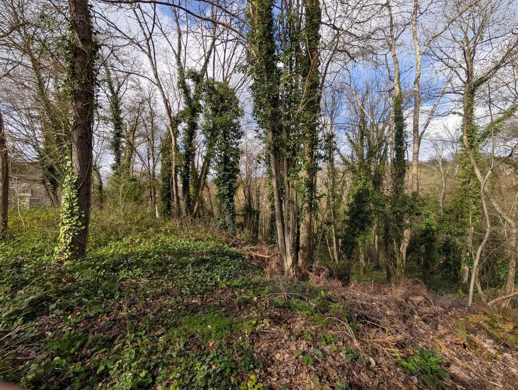 Terrain à FONTAINE-LE-PORT