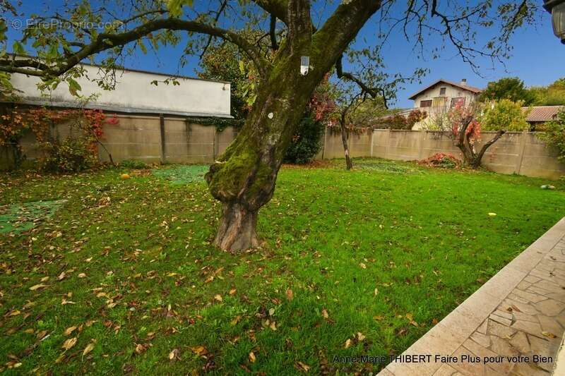 Maison à VILLEURBANNE