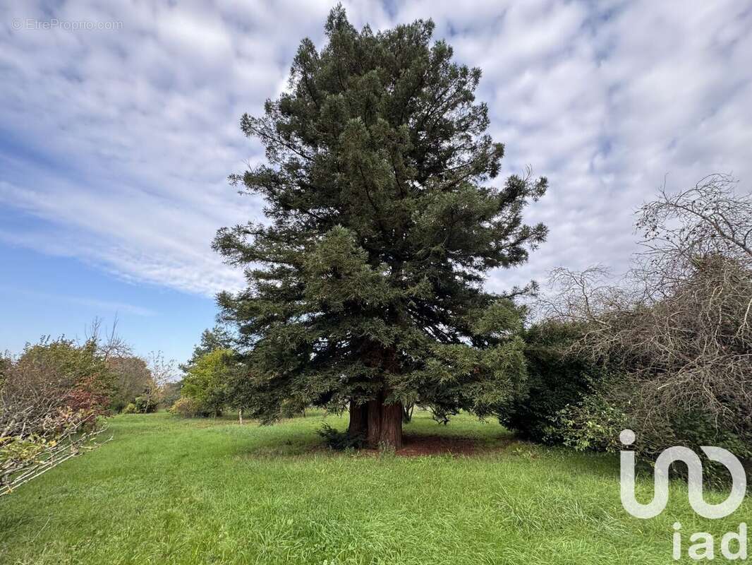 Photo 5 - Terrain à CHABRIS