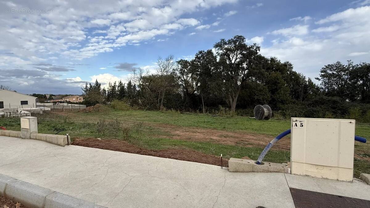 Terrain à POGGIO-MEZZANA