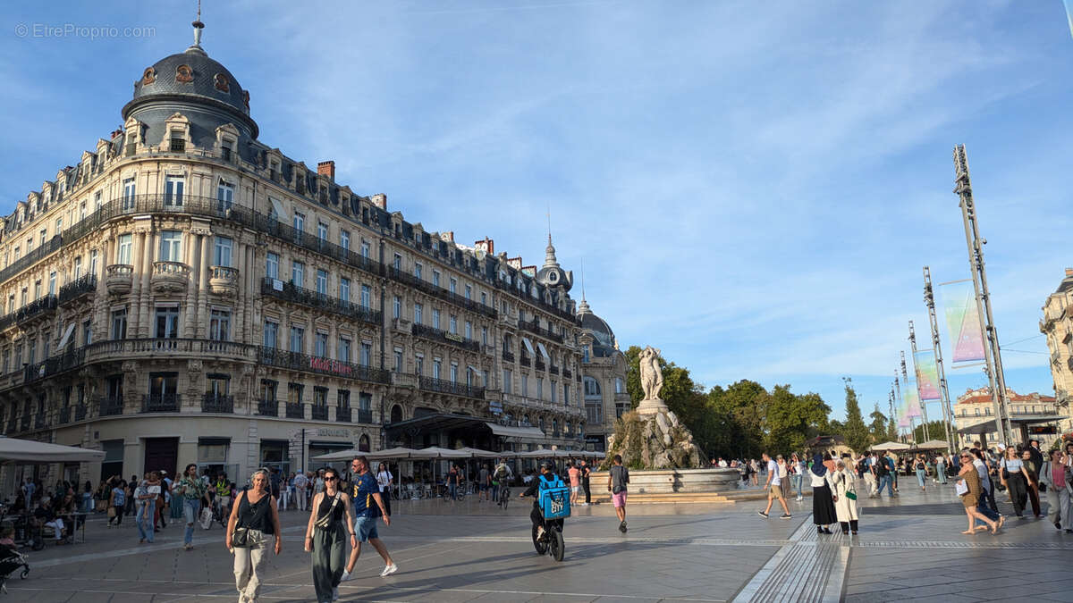 Commerce à MONTPELLIER