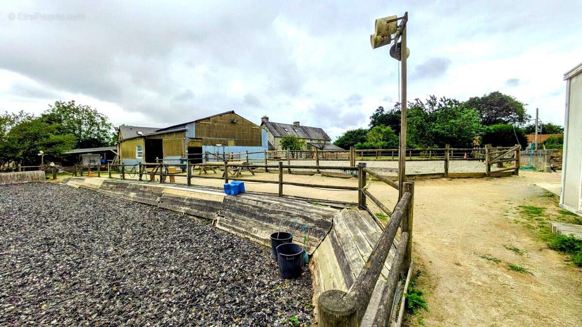 MAISON et gîtes su - GITES - Installations EQUESTRES - photo 3