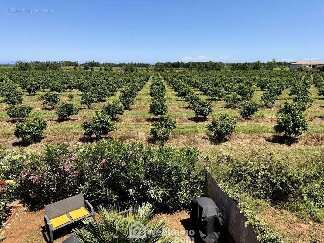 Une vue donnant sur des terrains agricoles