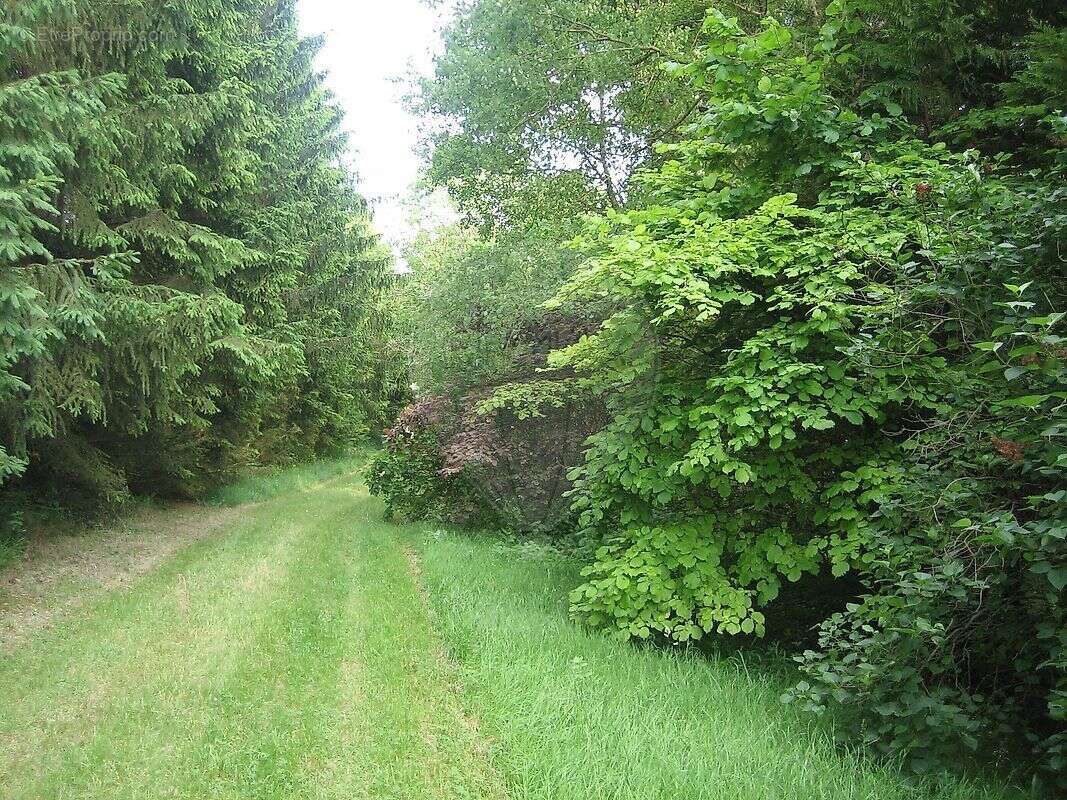 Maison à BAULNE-EN-BRIE