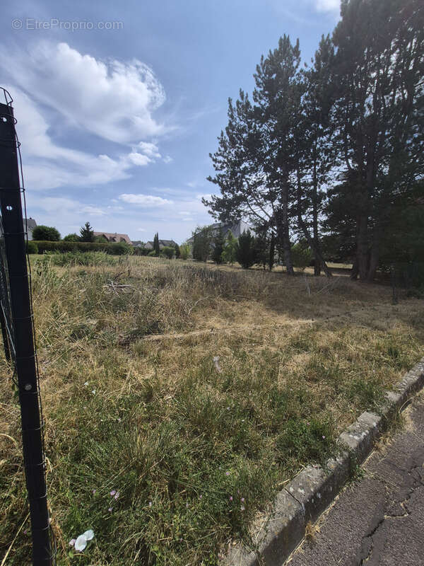 Terrain constructible 9,75 ares - Pournoy-la-Grasse - photo 2