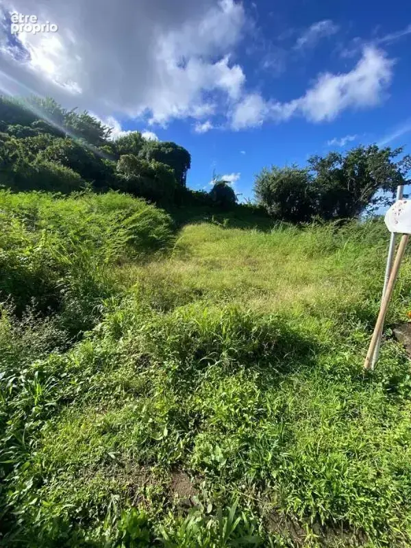 Terrain le morne vert - photo 11