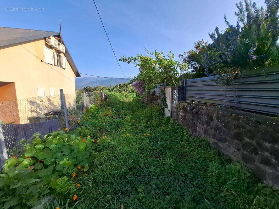 Terrain à LE TAMPON