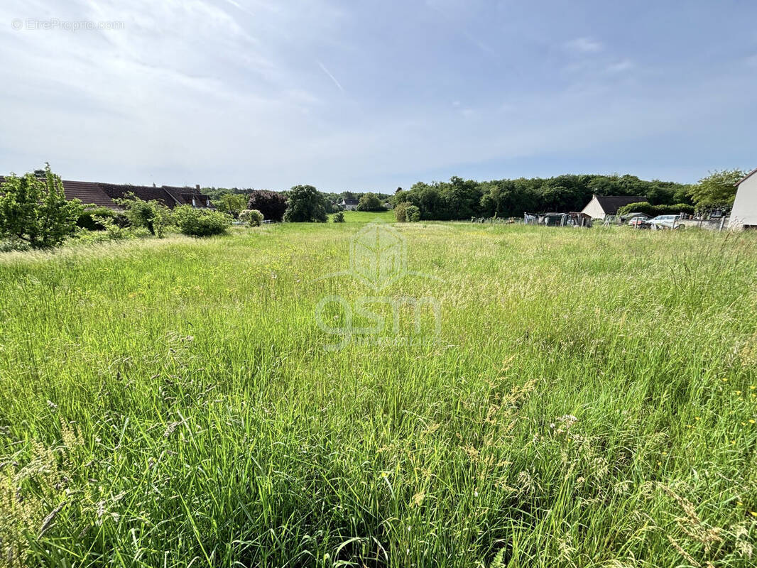 Terrain à SAINT-EPAIN