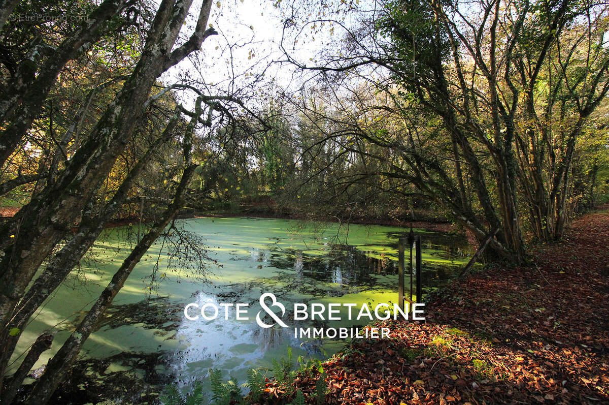 Superbe manoir pour un projet professionnel ou familial en bretagne  réf : 2025140 - photo 7