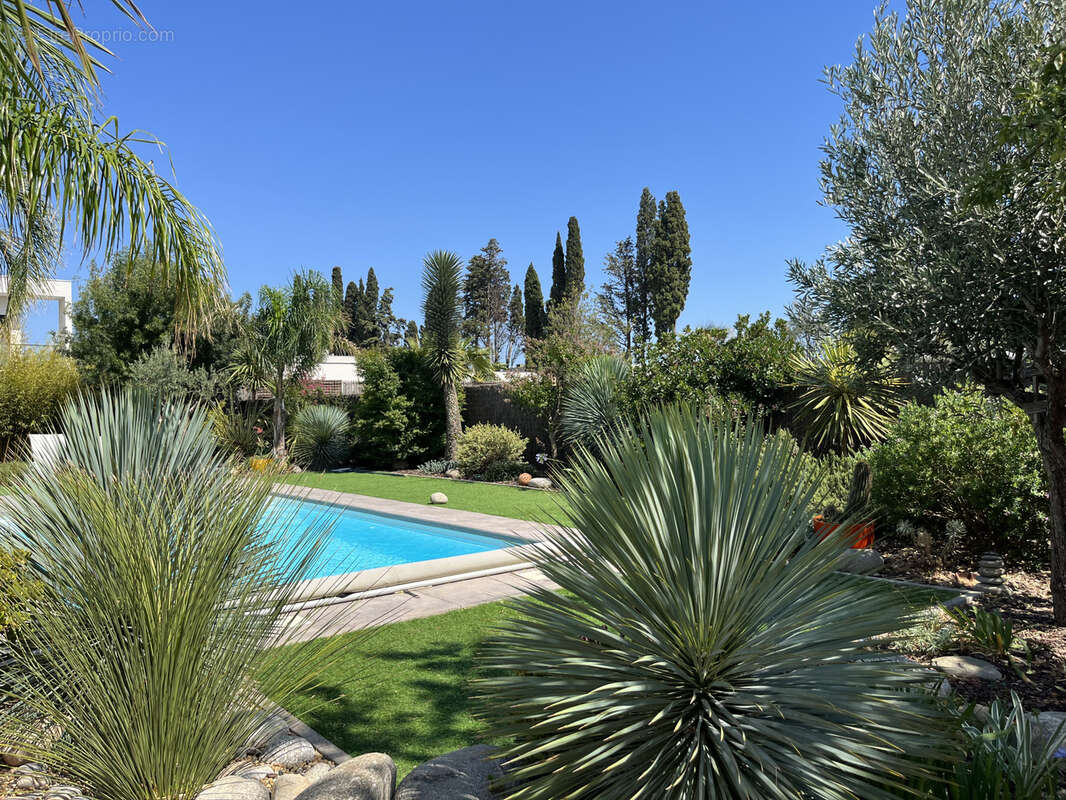 PERPIGNAN SUD : villa contemporaine 6 pièces avec piscine - photo 18