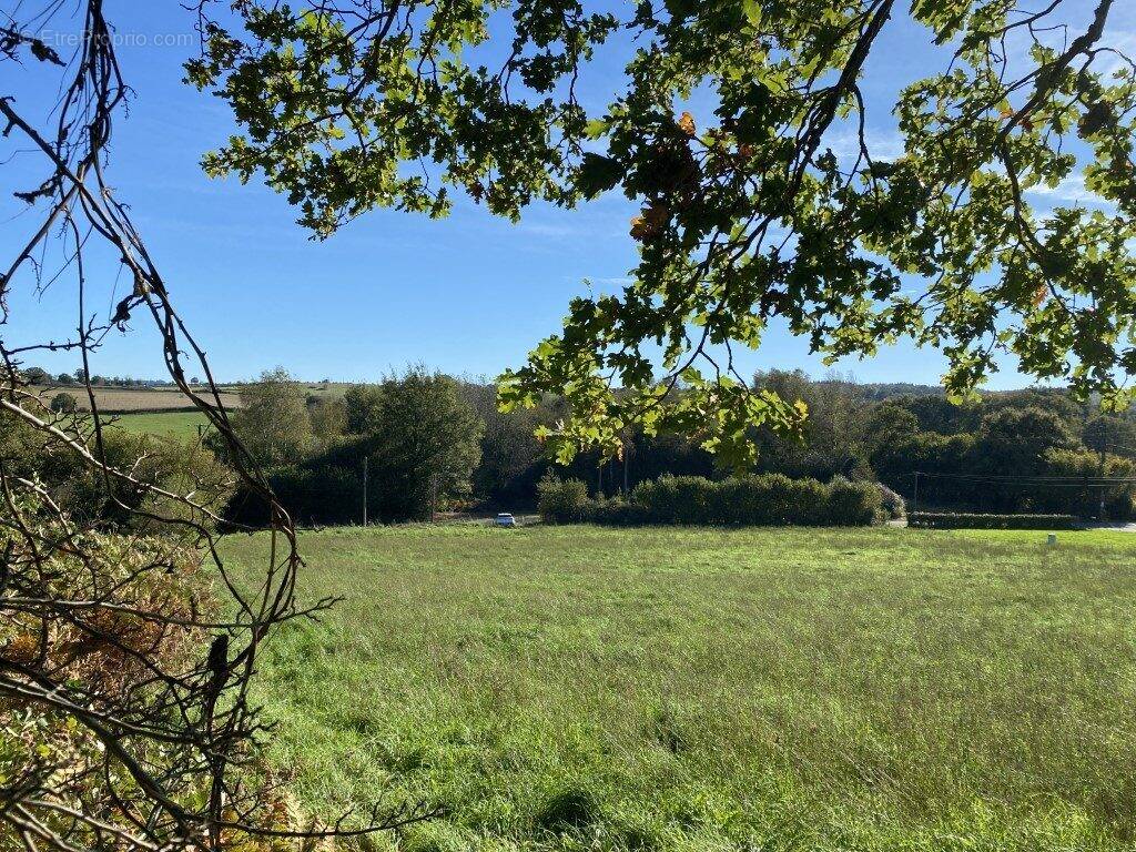vue par le haut du terrain  - Terrain à CHATEAUNEUF-LA-FORET