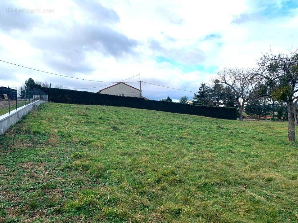 Terrain à MONISTROL-SUR-LOIRE
