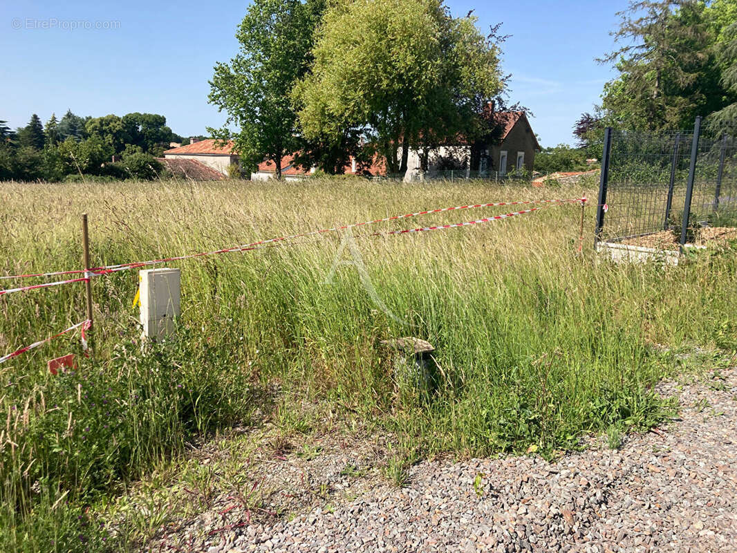 Terrain à SERIGNE