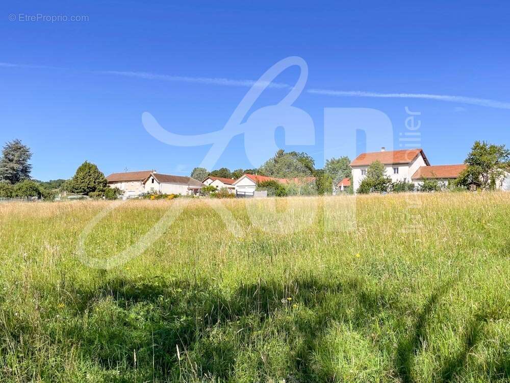 Terrain viabilisé (Lot 2)