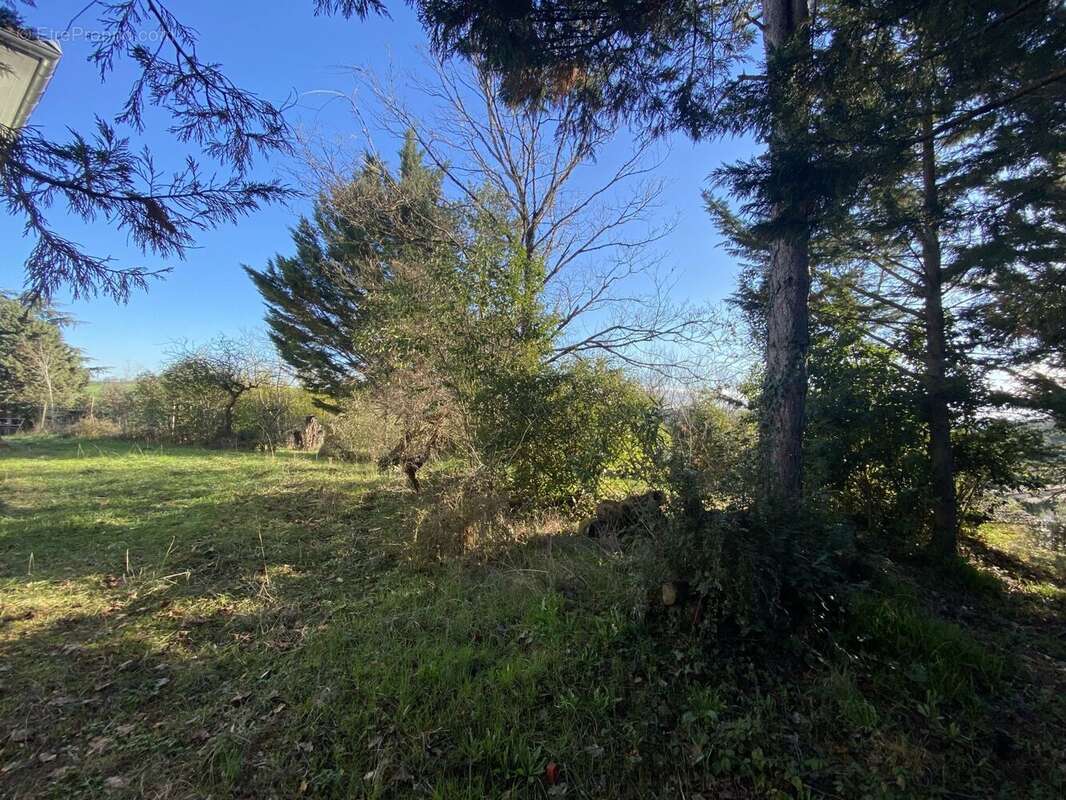 Terrain à bâtir de 956 m² à MONTASTRUC-LA-CONSEILLERE (31) - photo 2