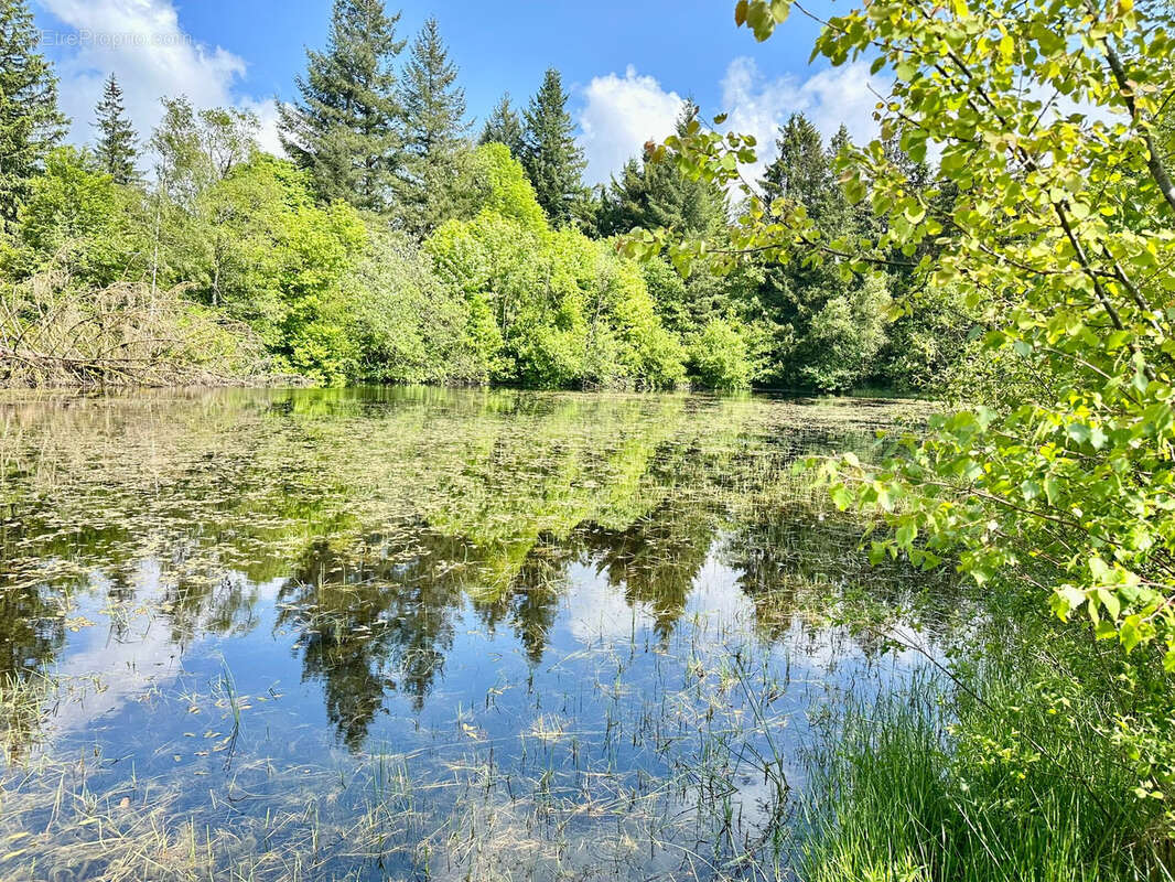 Maison à RAMONCHAMP