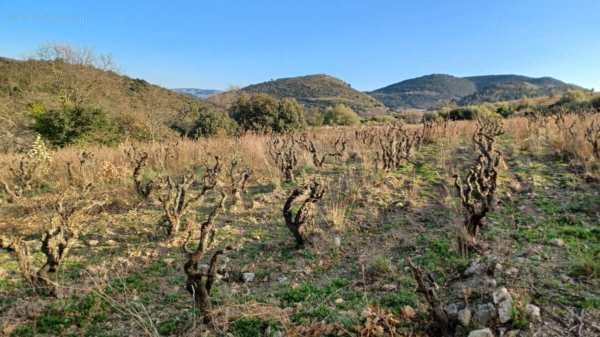 Terrain constructible de 706 m² - photo 6