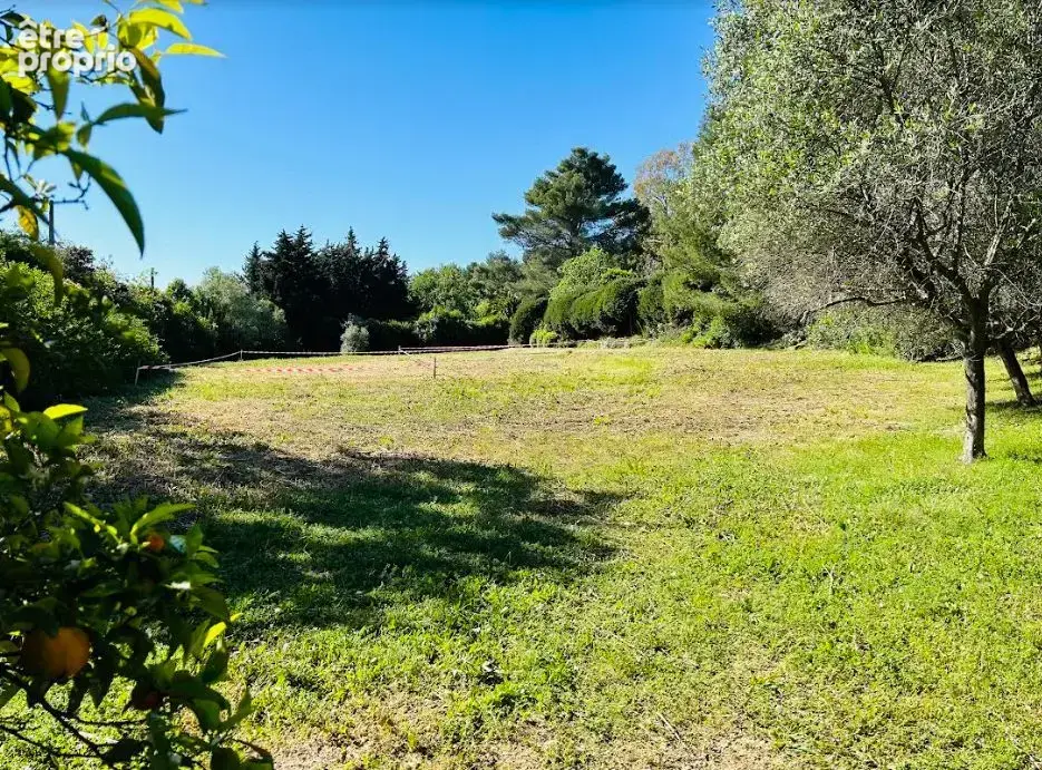 Terrain à bâtir de 2500 m² à MOUGINS (06) - photo 5