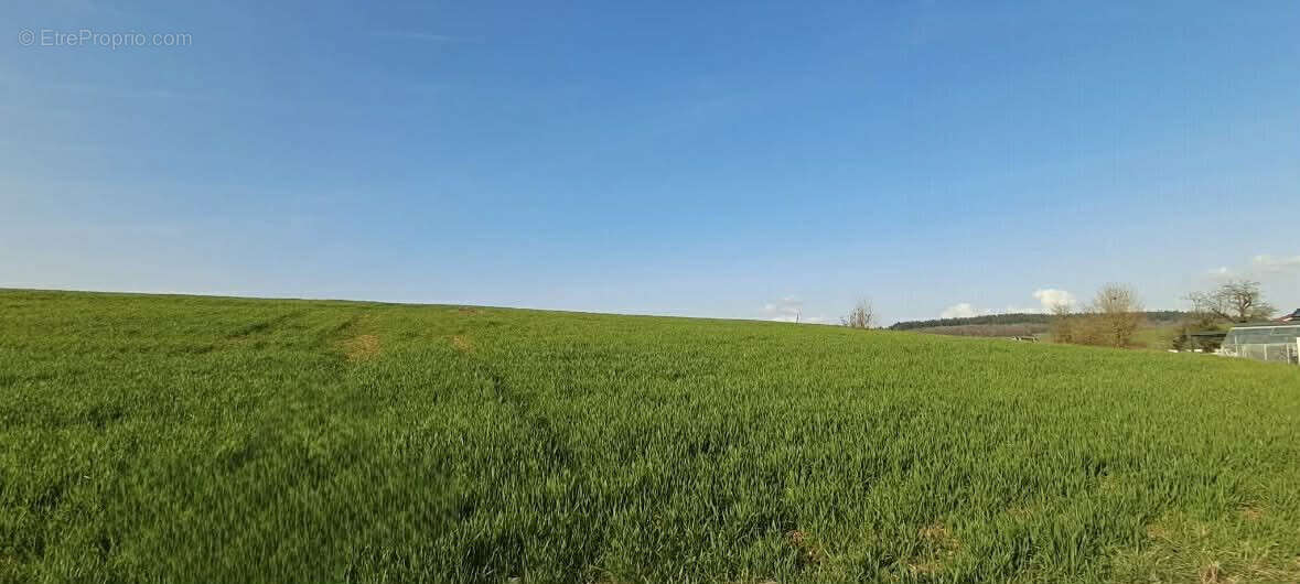 Terrain à VENDRESSE