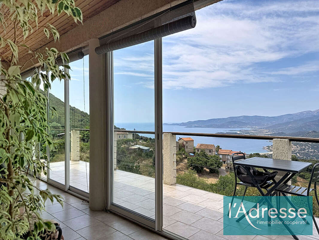 Maison vue mer panoramique sur les hauteurs de Calcatoggio - piscine chauffée - appartement indépendant - photo 5