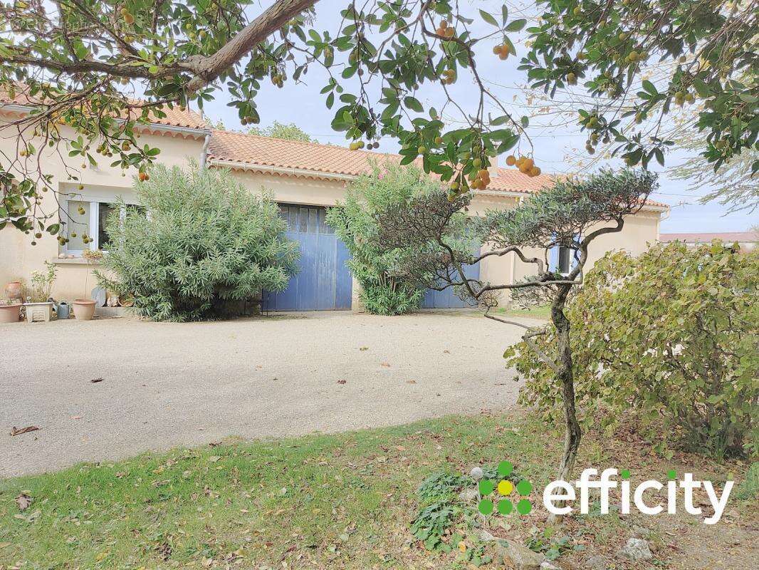 Maison à PERNES-LES-FONTAINES