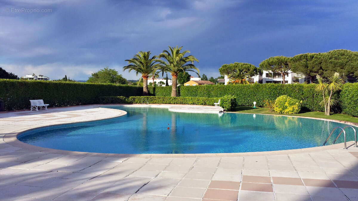 Rare : studio avec garage et cave, piscine - photo 2