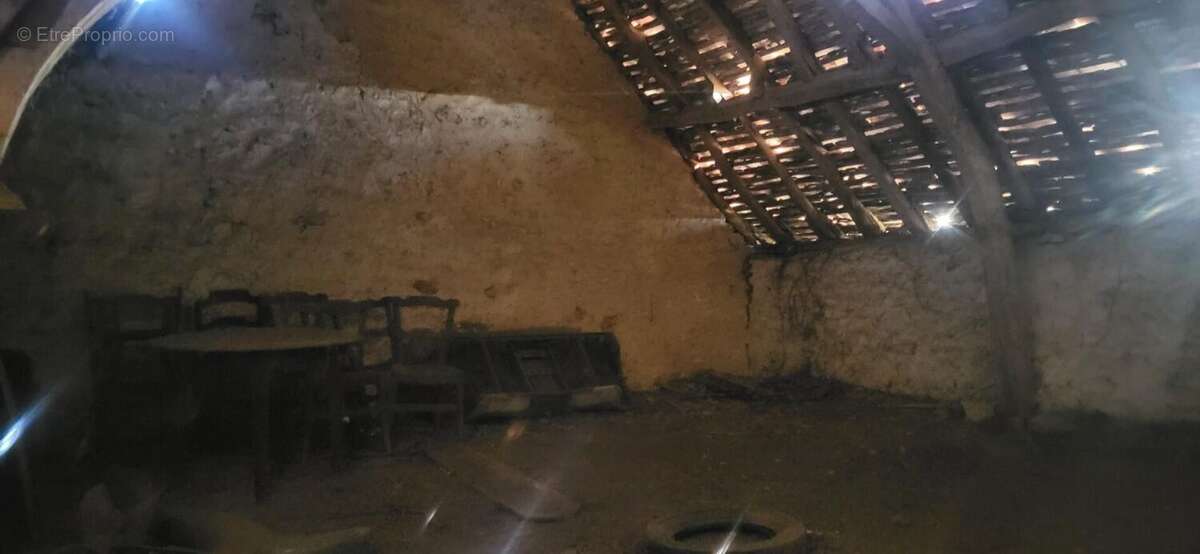 Photo 6 - Commerce à ANGLES-SUR-L&#039;ANGLIN