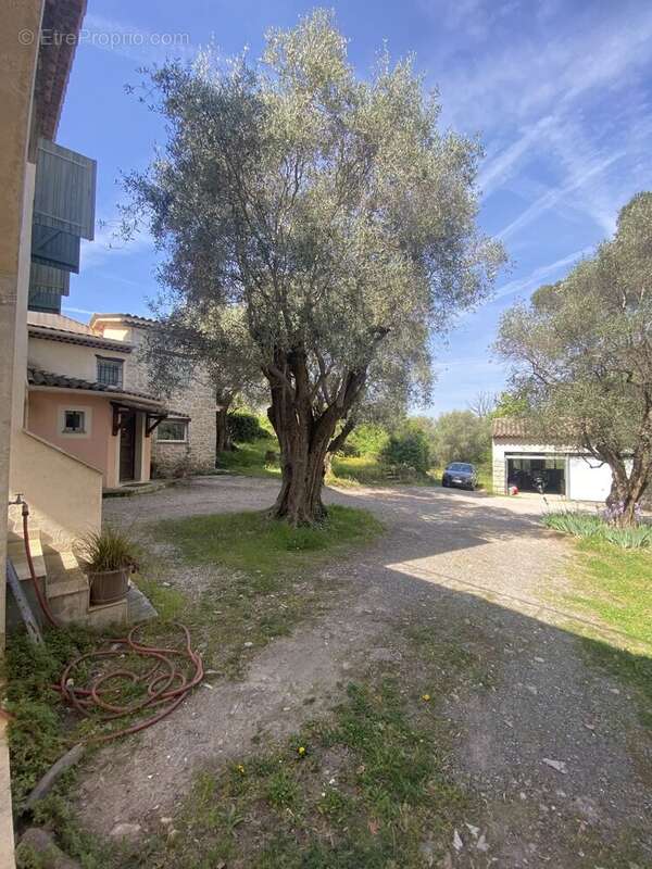 Mougins- propriete de 10 pieces  sur 6800 m² de terrain clos et arbore, ideal chambres d'hotes - photo 4