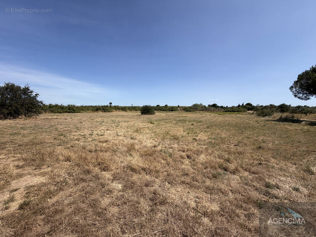 Terrain à MARSEILLAN