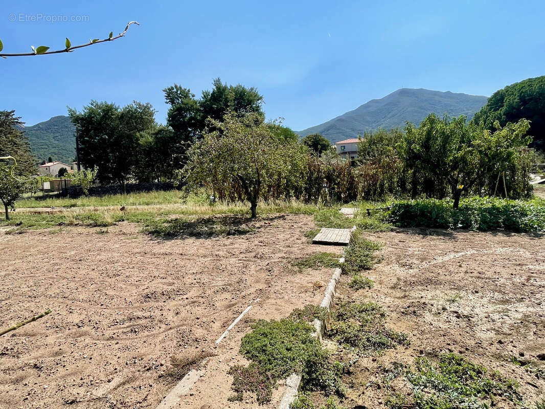 Sorède - terrain constructible de plus de 1 140 m2,  vue panoramique sur le massif des albères - photo 5