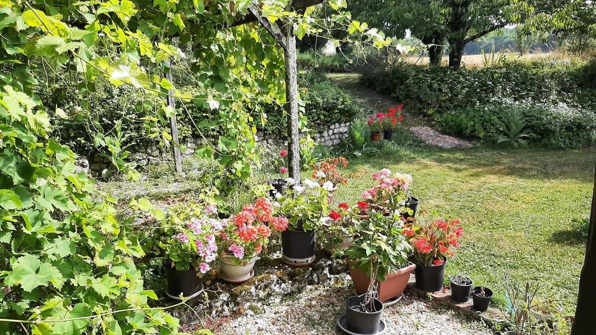 Maison à BORS(CANTON DE MONTMOREAU-SAINT-CYBARD)