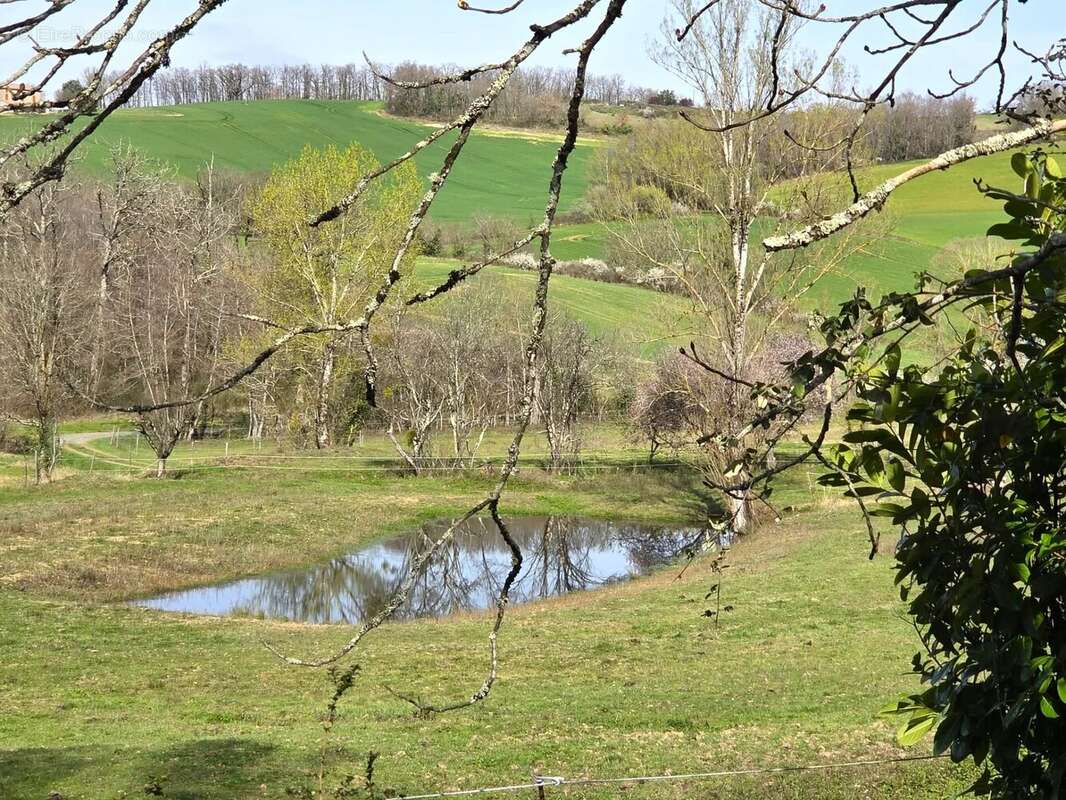 Maison à LISLE-SUR-TARN