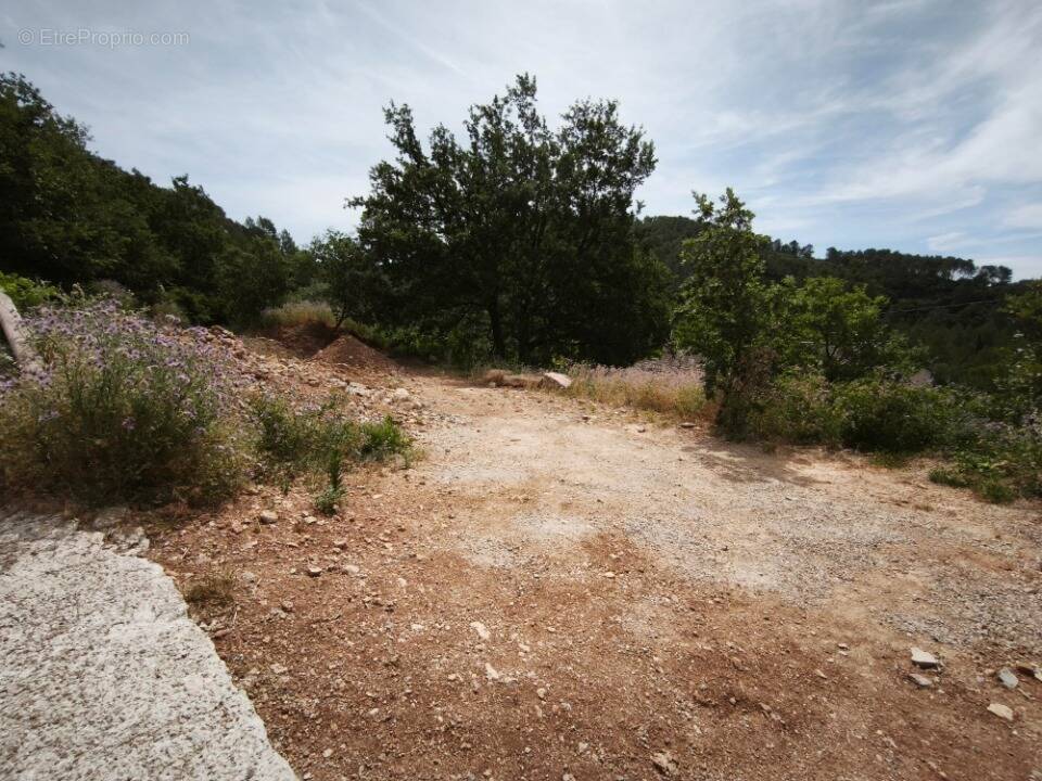 Terrain à BELGENTIER
