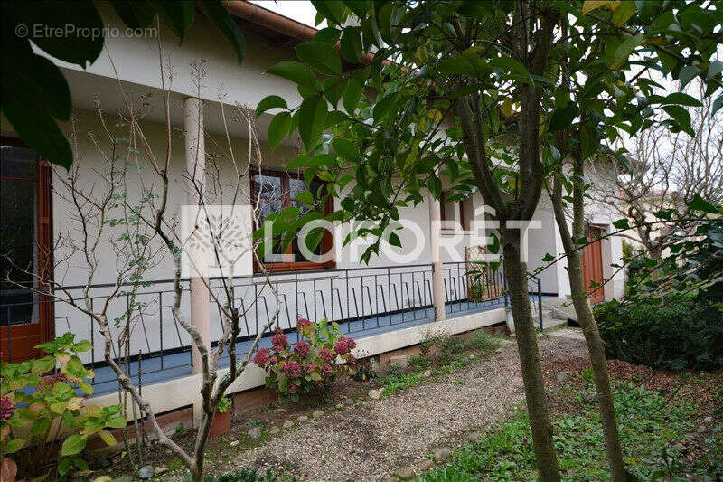 Maison à VILLEMUR-SUR-TARN