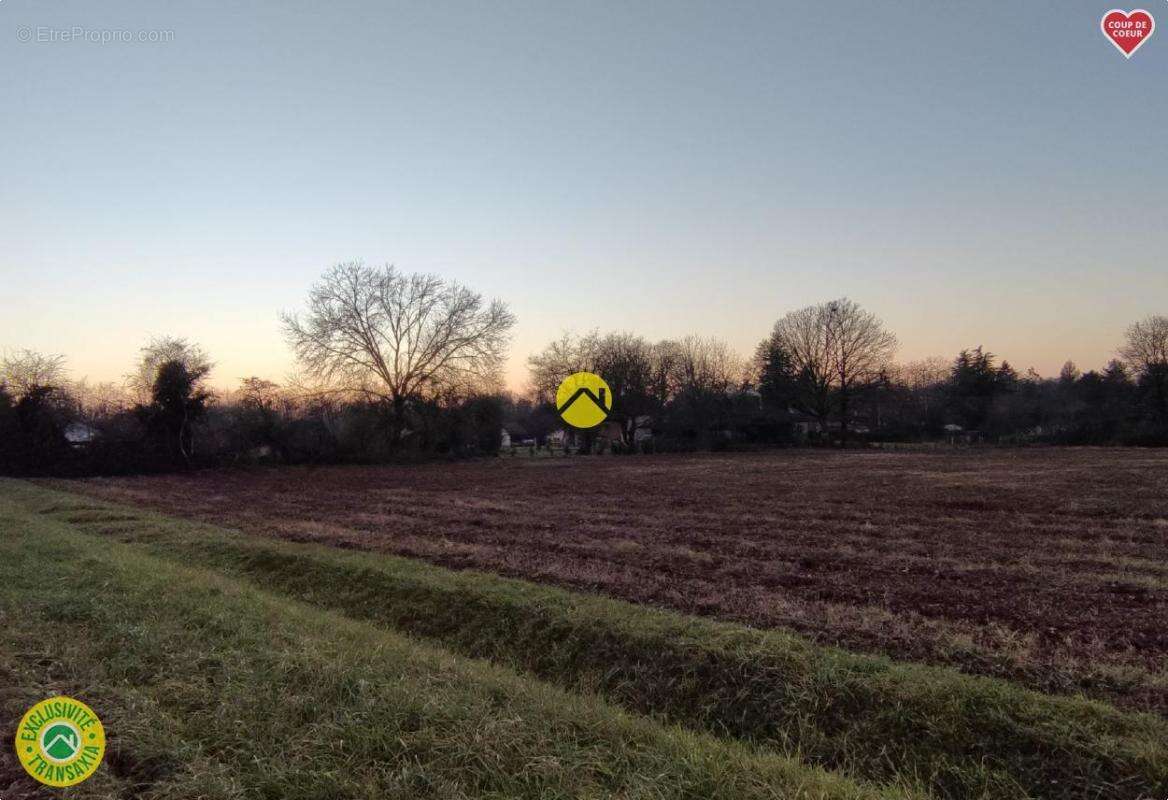 Terrain à LA GUERCHE-SUR-L&#039;AUBOIS