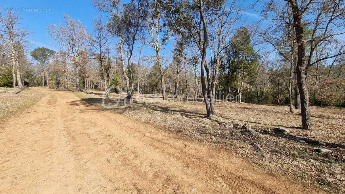 Terrain à LORGUES